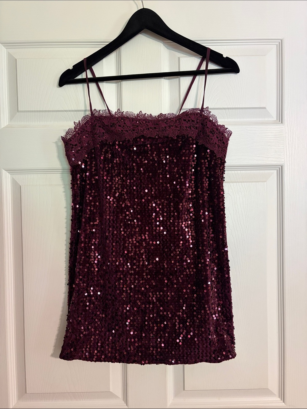 Free People Intimately "That Girl" Sequin Lace Slip Dress Fig Jam Size M